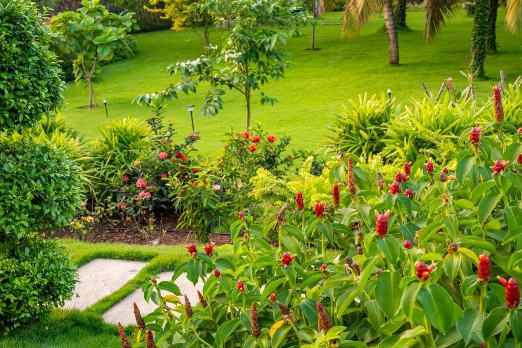 Villa Woods & Palms Pollāchi Zewnętrze zdjęcie